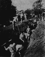 Hastings Grammar School boys digging trench shelter 1938